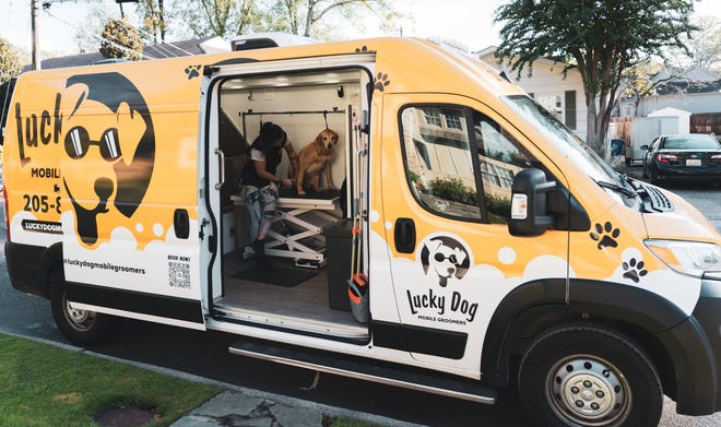 groomvan